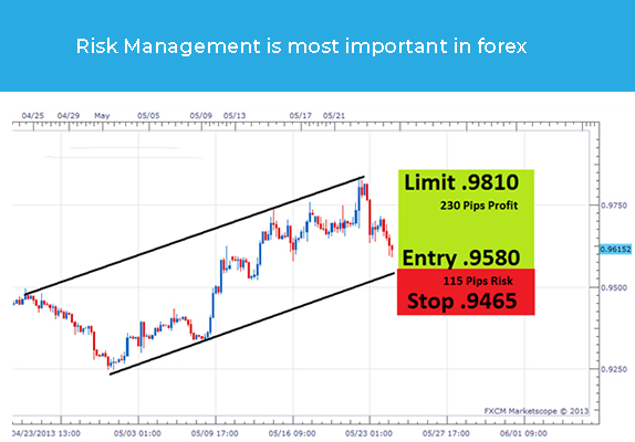 Risk Management is Most Important in Forex